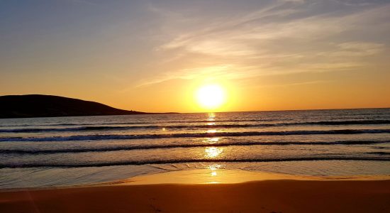 WhatsApp Image 2025-02-14 at 13.49.43_b59a5ea0